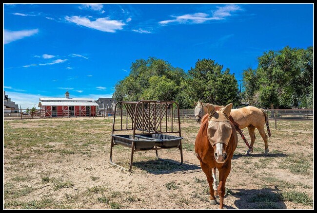 Building Photo - 3 Acre Horse Ranch & Home Rental SE Boise ...