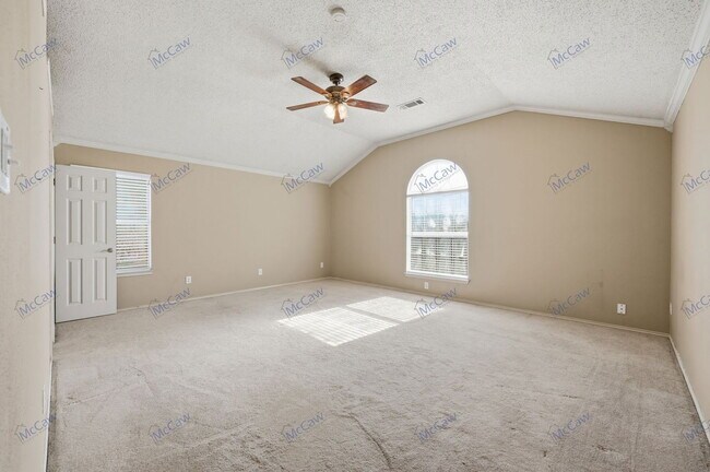 Building Photo - 700 Ibis Ct