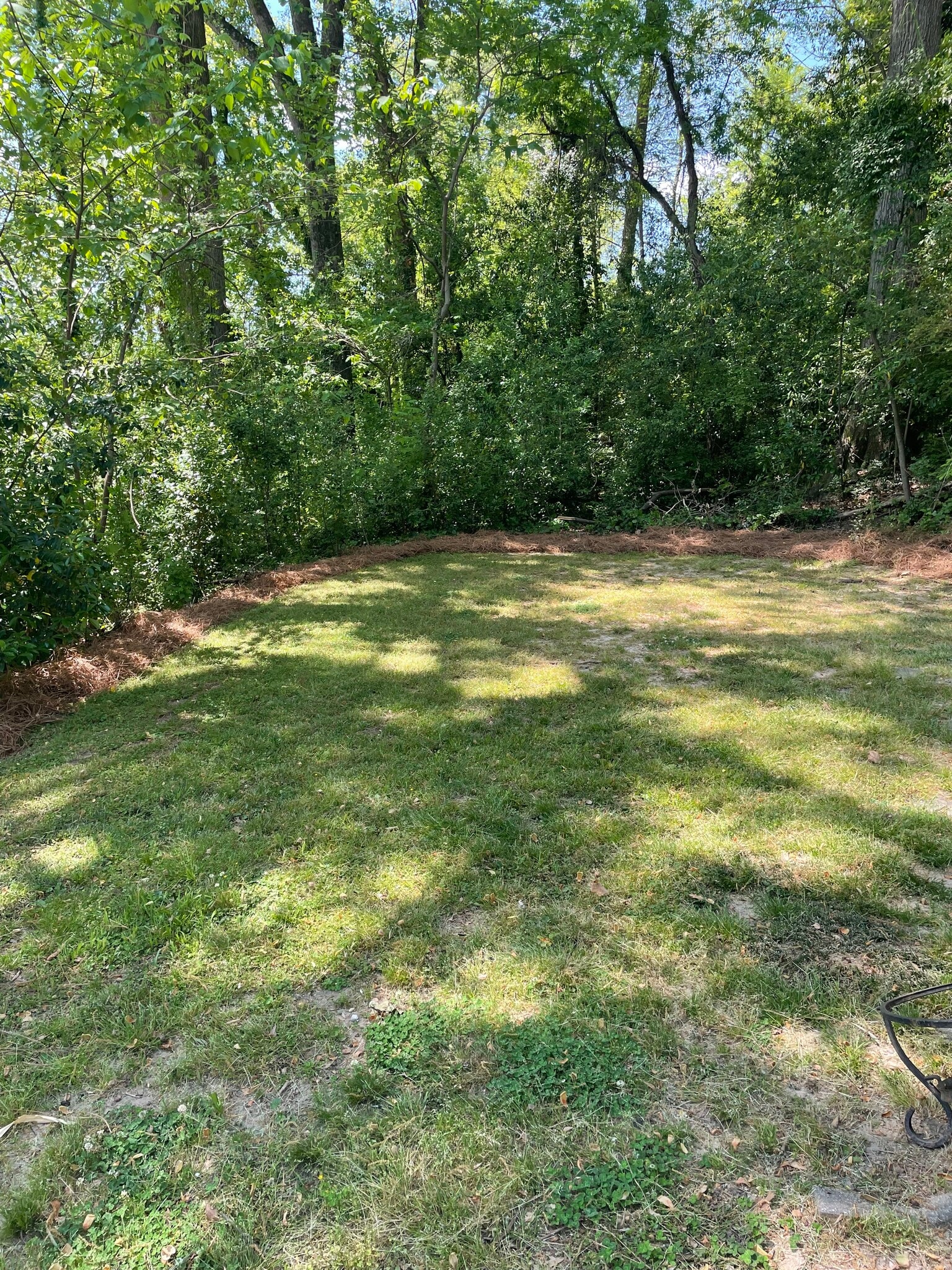 Private back yard - 239 Kinsey Ct NE