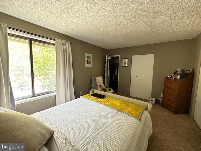 Building Photo - End-unit townhome in Reston.