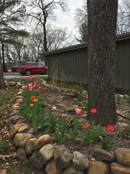 Front Garden - 1114 W 17th St