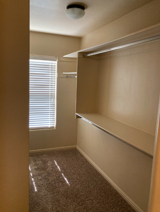 Building Photo - 3419 S River Rd