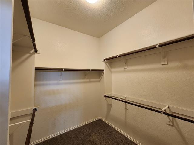 Building Photo - 3216 Chesington Dr