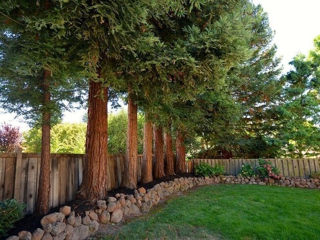 Building Photo - 655 Sun Tree Ct