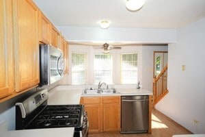 Building Photo - 907 Elderberry Cir