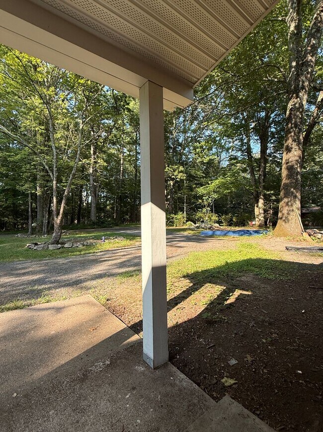 Building Photo - Bright, Modern & Fully Renovated 1-Bedroom...