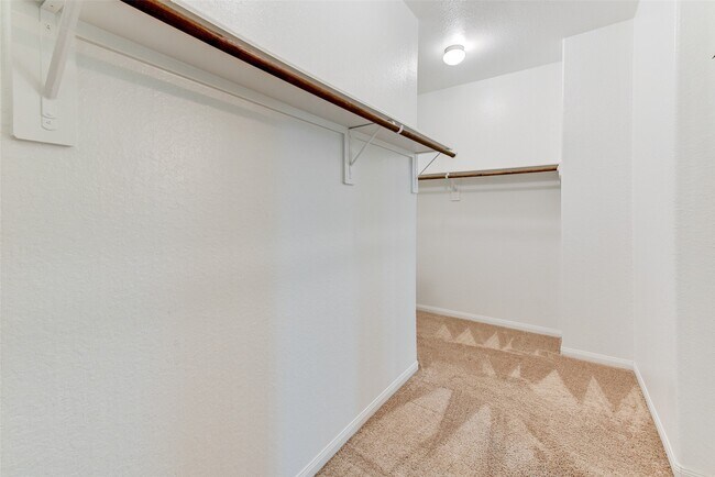 Building Photo - 24810 Lorenzo Glaze Trail