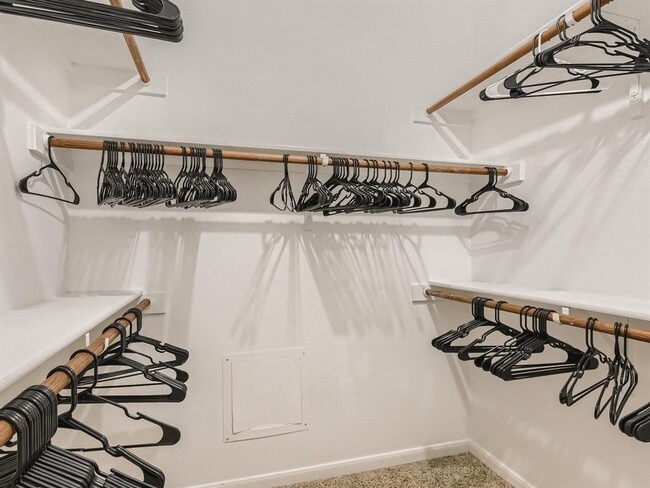 Building Photo - 3101 Davis Ln