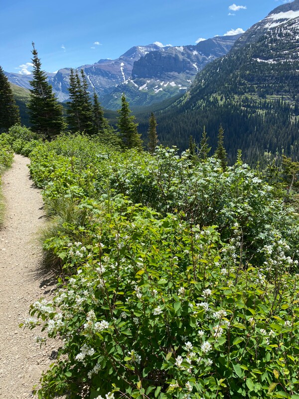 Building Photo - 710 Birch Point Dr