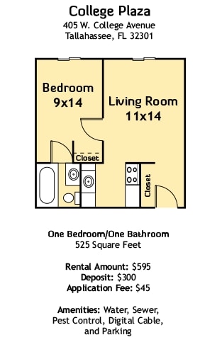 1BR/1BA - College Plaza