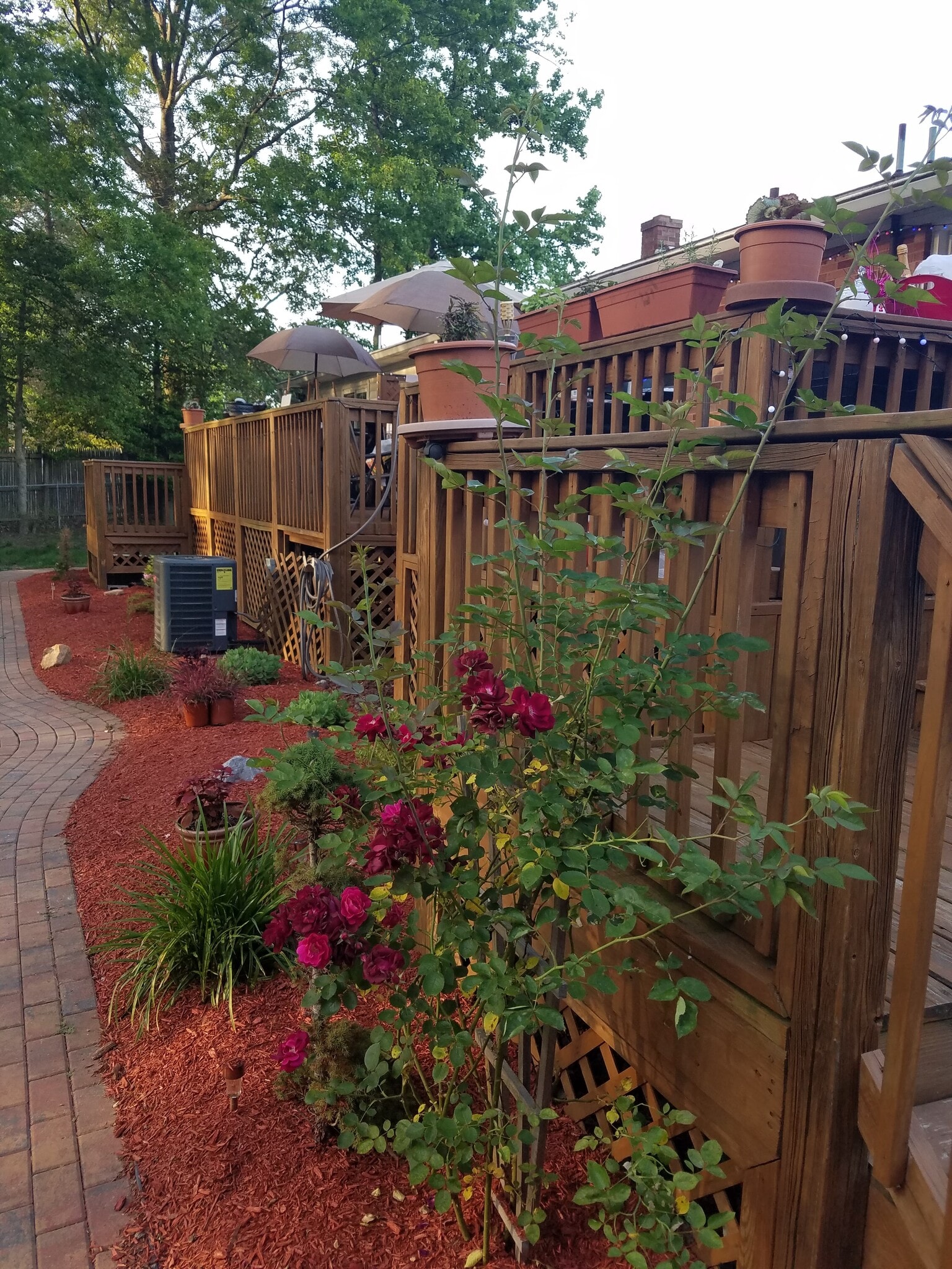 Walkway to unit - 12809 E Shelby Ln