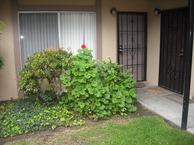 Primary Photo - Wonderful 1 bedroom ground floor condo
