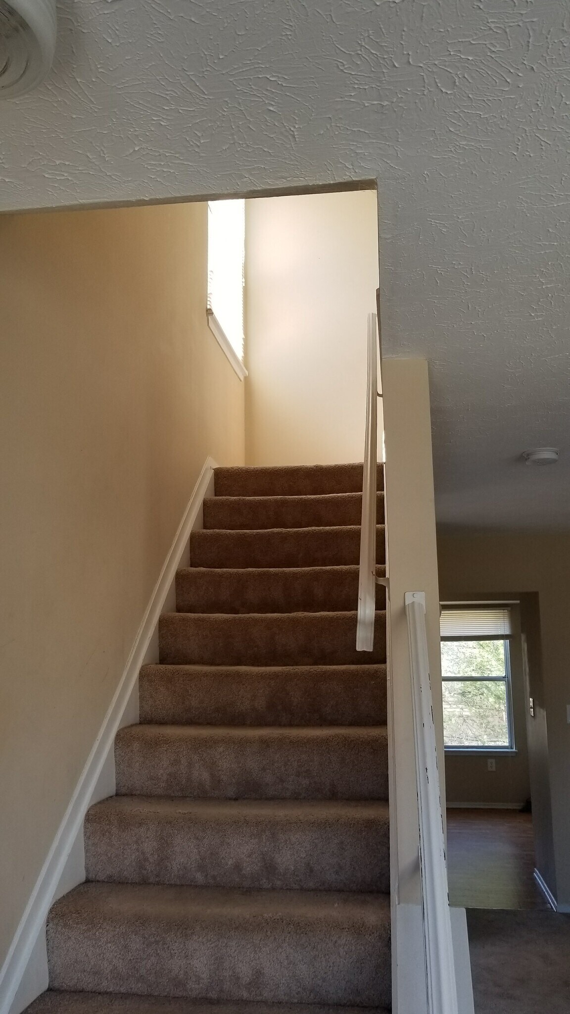 Building Photo - 4228 Cloudberry Ct