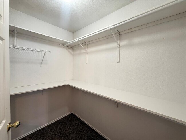 Building Photo - 708 Spring Brook Ln