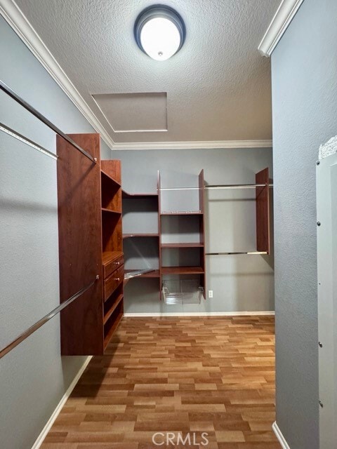 Building Photo - 31536 Whitedove Ln