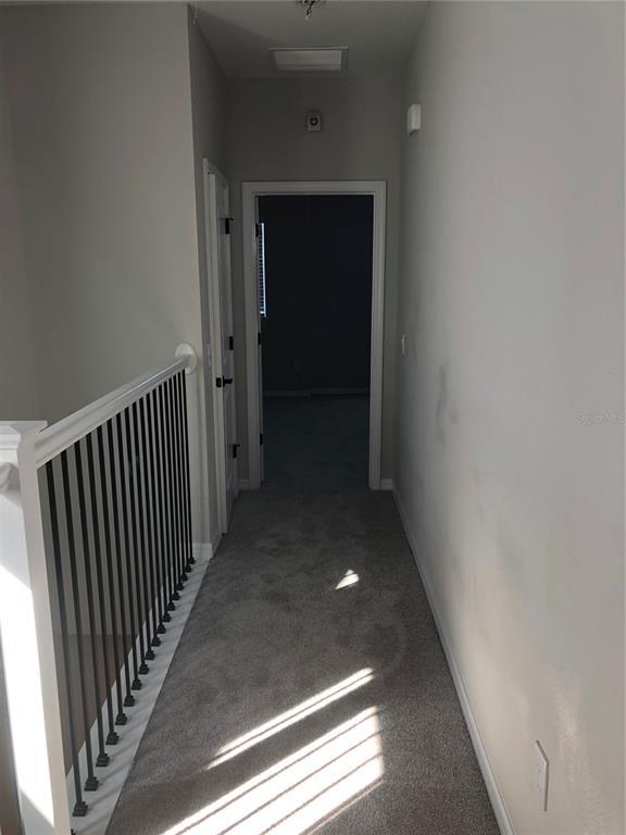 Building Photo - 794 Candlebrush Ln