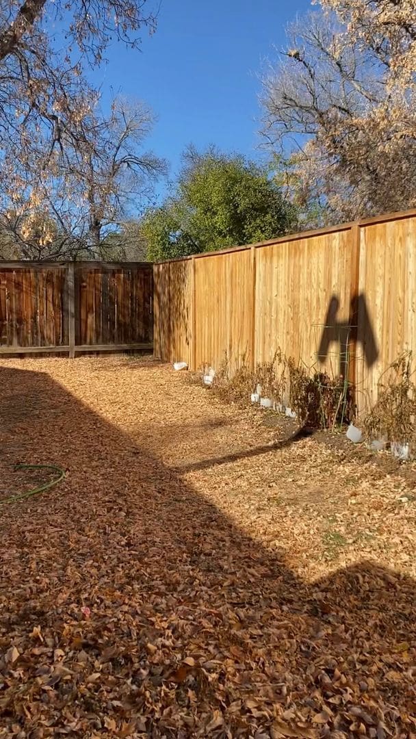 Building Photo - STUDENTS WELCOME! Spacious 3-Bedroom / 1-Bath Duplex w/ Fenced Backyard