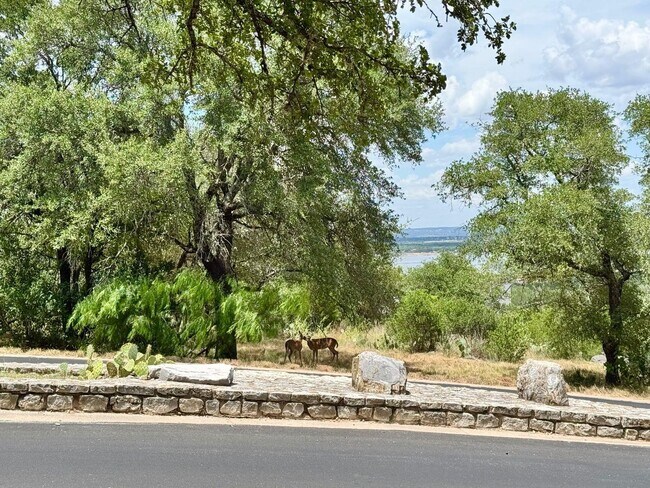 Building Photo - 800 Grassy Knoll