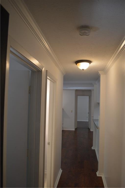 Building Photo - 527 Warm Springs Cir