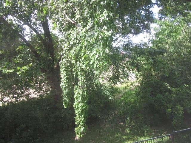 Building Photo - 1441 East St