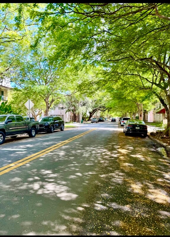 Building Photo - 1014 Salzedo St