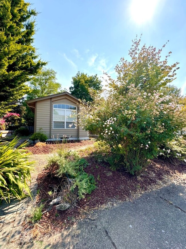 Building Photo - Gorgeous 3 Bed 2 Bath Home Near Shopping and Schools!