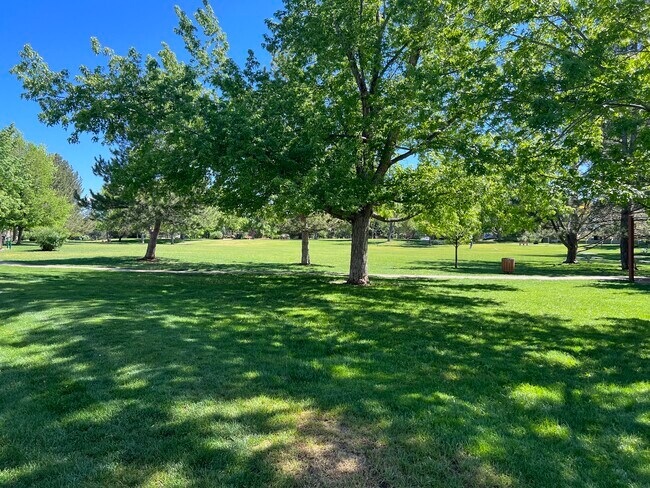 Gunbarrel Commons Park, right outside - 4670 White Rock Cir