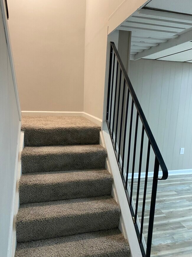 Basement Stairs - 8555 Island Pines Dr