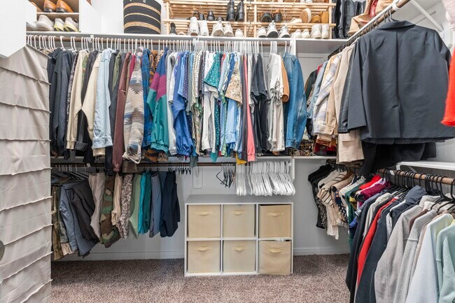 Building Photo - 3221 Climbing Gardens Ct