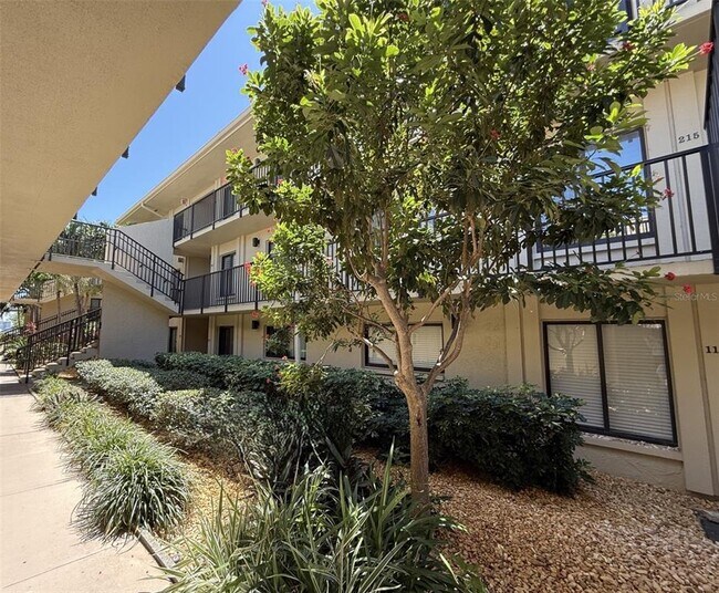 Building Photo - 6322 Palma Del Mar Blvd S