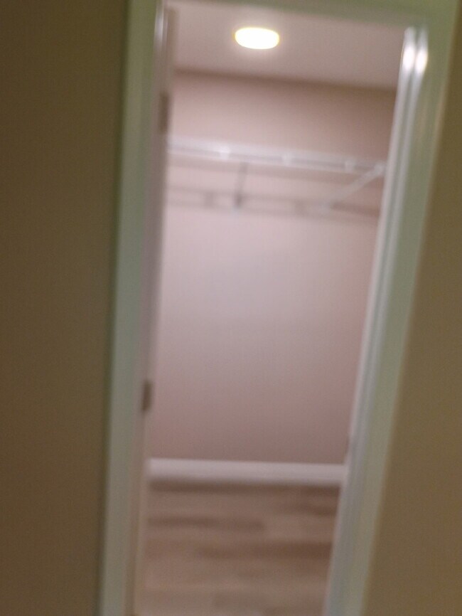 Building Photo - 117 Ruberia Ave