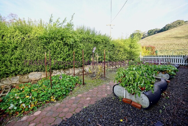 Building Photo - Increcible, Tranquil and Secluded Property...