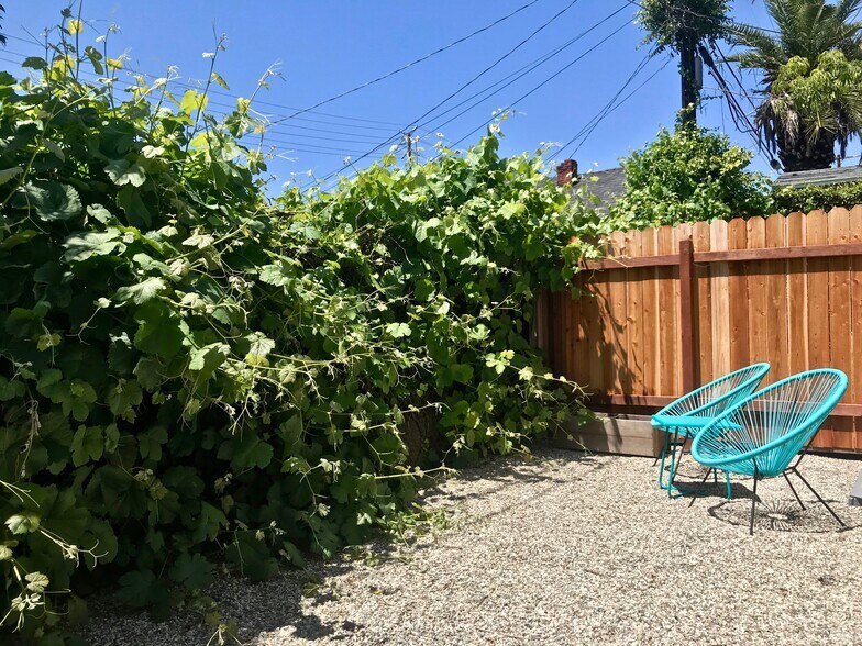 Private west-facing fenced backyard for lovely sunsets - 1237 N Commonwealth Ave
