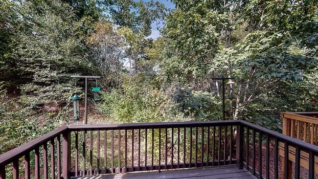 Building Photo - 1151 Woodbury Falls Ct