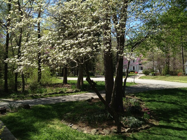 Building Photo - 123 Bonaparte Dr