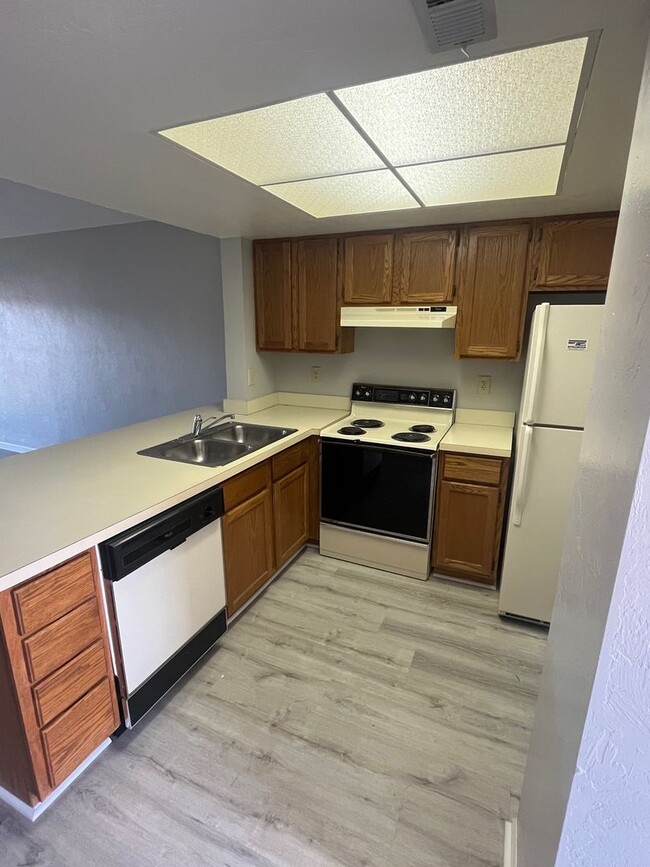 Building Photo - Unit 2405- Tradewinds I