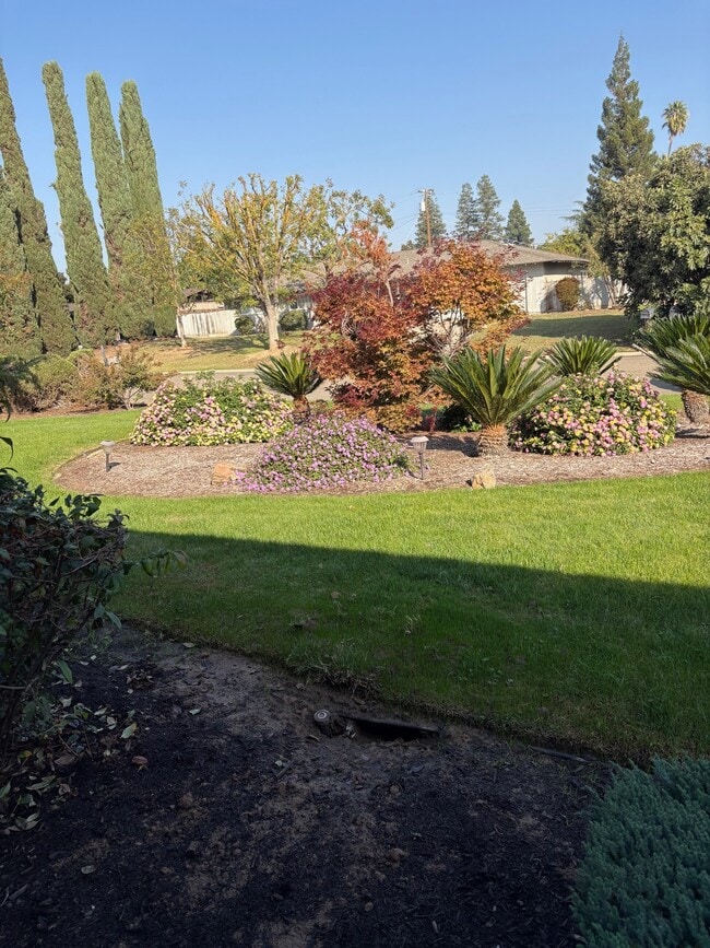 Building Photo - 141 W Twain Ave