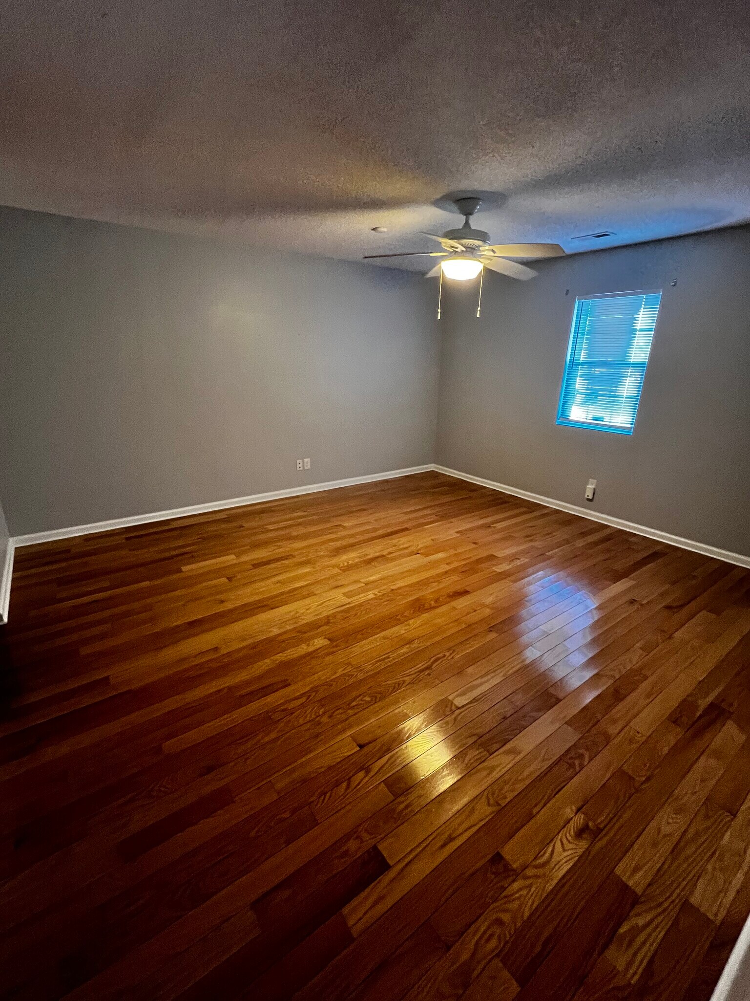 Building Photo - 313 Wyrick St