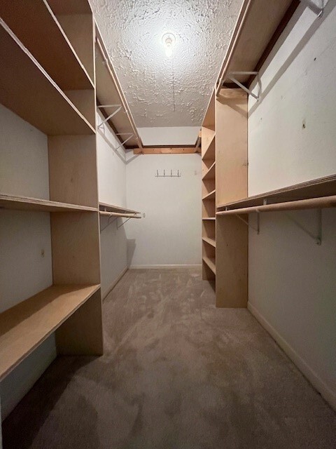 Building Photo - 2010 Windy Meadow Dr