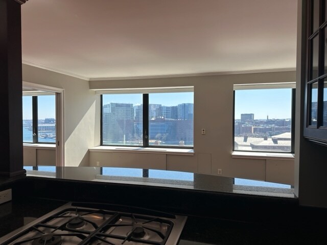 3 window panorama - 85 E India Row