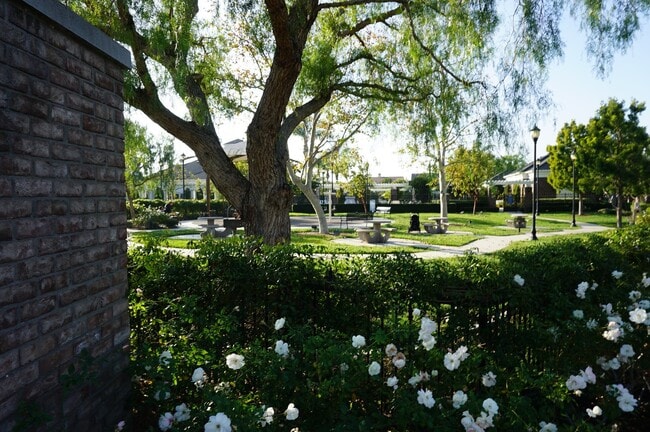 Building Photo - Beautiful 3 Bedroom 2.5 Bathroom Townhome ...