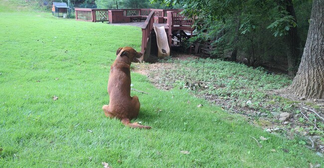 Building Photo - 1116 Santa Fe Station
