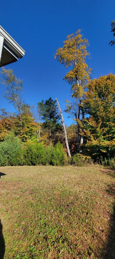 Building Photo - Ready to Move in