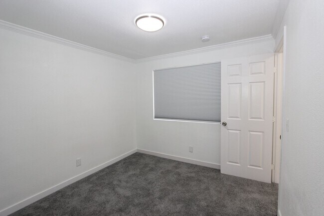 Building Photo - 4095 Thorn St