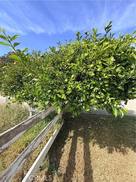 Building Photo - 575 Aloma Way