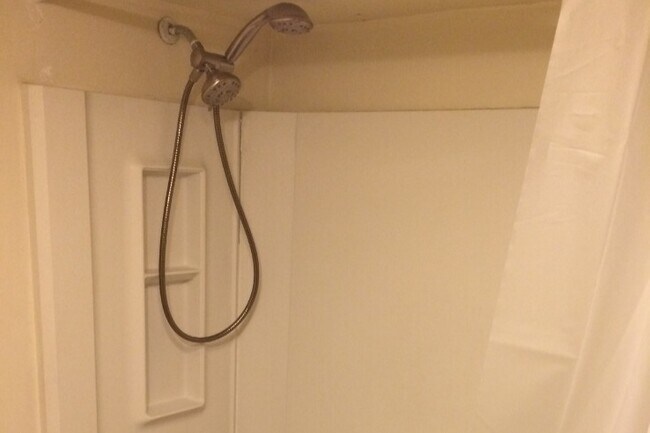 Bathroom 2 - 86 Winspear Ave