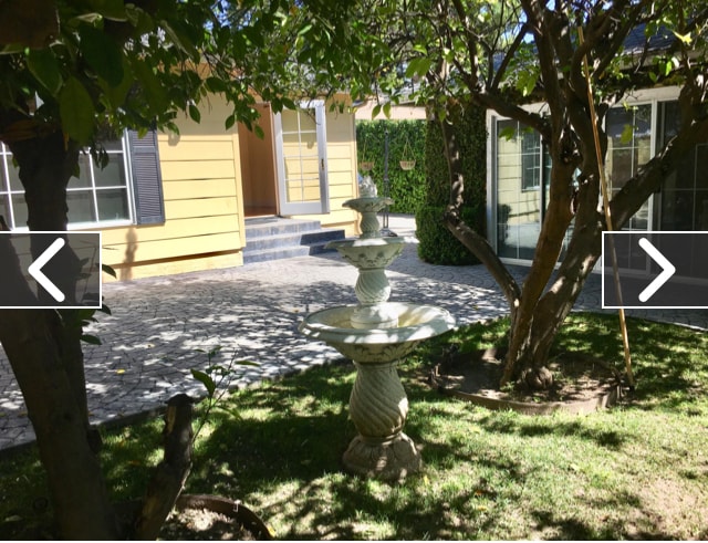 Backyard - 2340 Brigden Rd