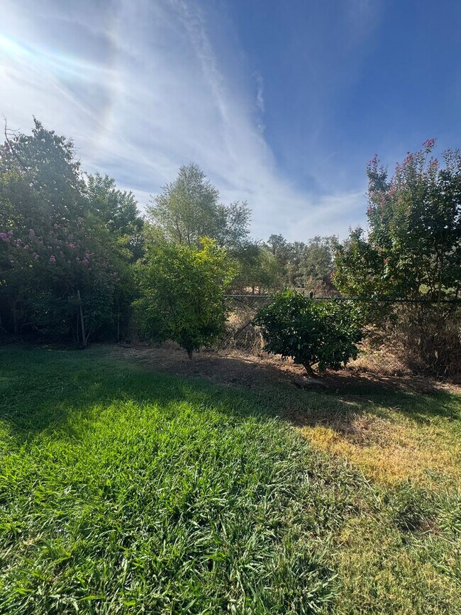 Building Photo - 2409 Candlewood Dr