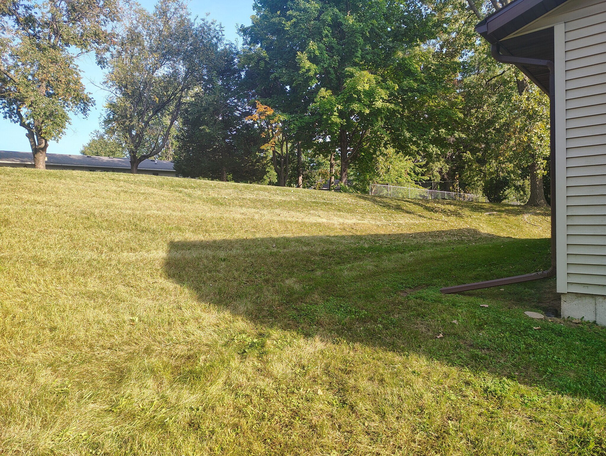Back yard - 700 Iroquois Ct