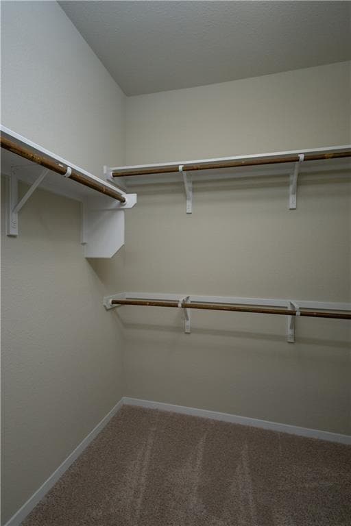 Building Photo - 159 Living Reef Dr